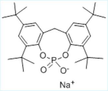 Estructura técnica de Palmarole MI.NA.11